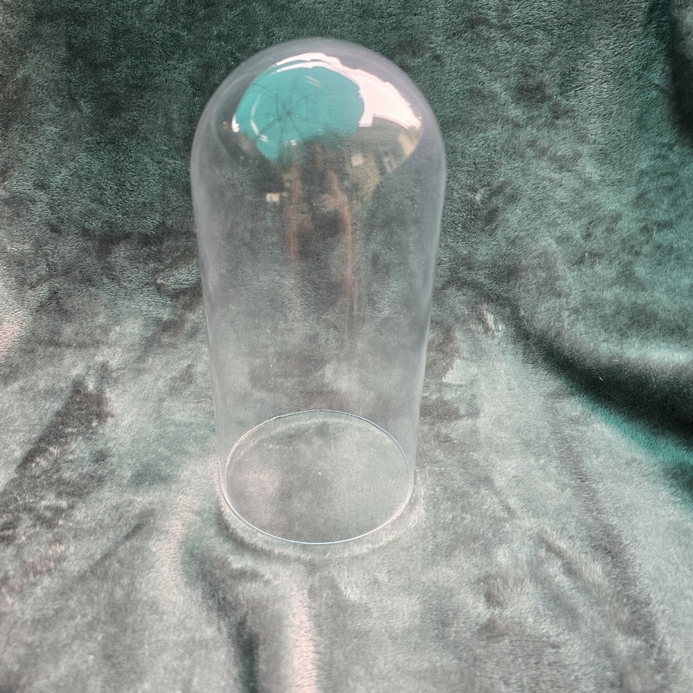 Glass Dome with no base about 4"X 8"